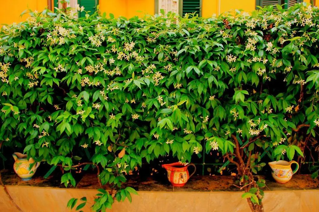 Casa E Appartamento Per Vacanze Bonifazi Rom Italien